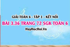 Giải bài 3.36 trang 72 Toán 6 Tập 1 SGK Kết nối tri thức